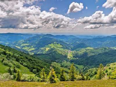 Beispielsbild aus der Kategorie "Sommer in der Schwarzwaldregion Belchen" unseres  Pressebildarchivs