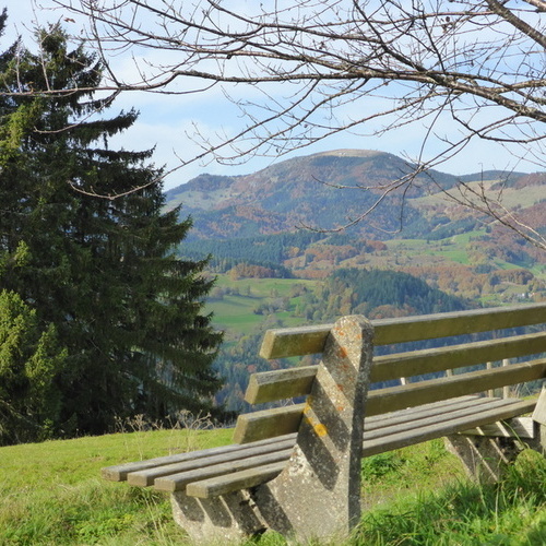 Blick zum Belchen - Blick zum Belchen -