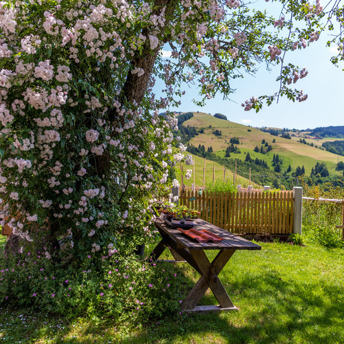 Gartentisch unter einem blühendem Baum mit Blick auf die umliegenden grünen Wiesen und Wälder - Gartentisch unter einem blühendem Baum mit Blick auf die umliegenden grünen Wiesen und Wälder -