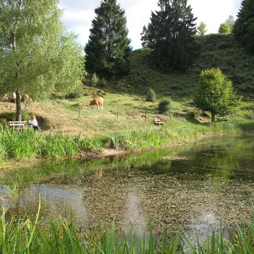 Letzbergweiher - mit schönen Sitzbänken - Letzbergweiher - mit schönen Sitzbänken -