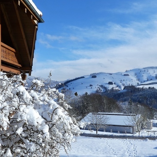Landhaus Wiesentalblick auf dem Marterer-Hof - Landhaus Wiesentalblick auf dem Marterer-Hof -
