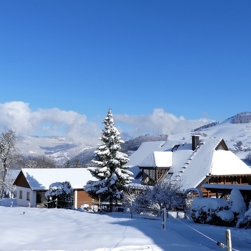 Landhaus Wiesentalblick auf dem Marterer-Hof - Landhaus Wiesentalblick auf dem Marterer-Hof -