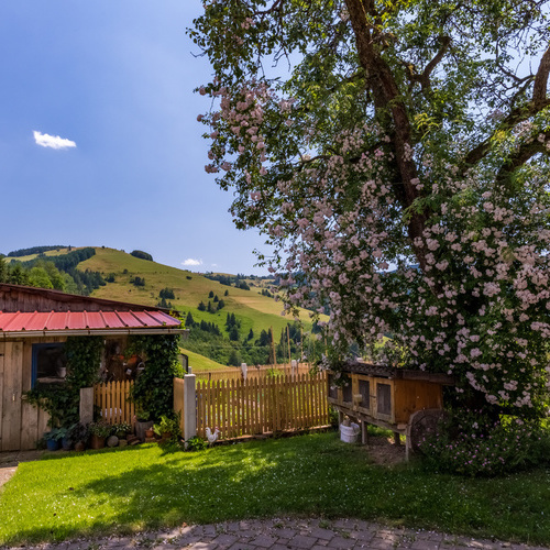 Blick vom Garten auf die umliegende grüne Landschaft - Blick vom Garten auf die umliegende grüne Landschaft -