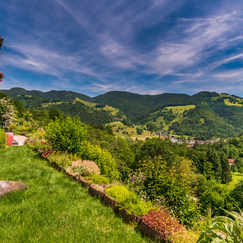 Blick auf Schönau und Umgebung - Blick auf Schönau und Umgebung -