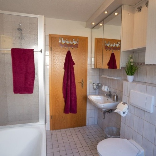 Badezimmer mit Dusche, WC und Waschbecken - Badezimmer mit Dusche, WC und Waschbecken -