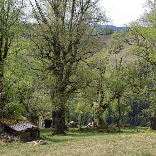 Auf dem Lerchenpfad - Auf dem Lerchenpfad -