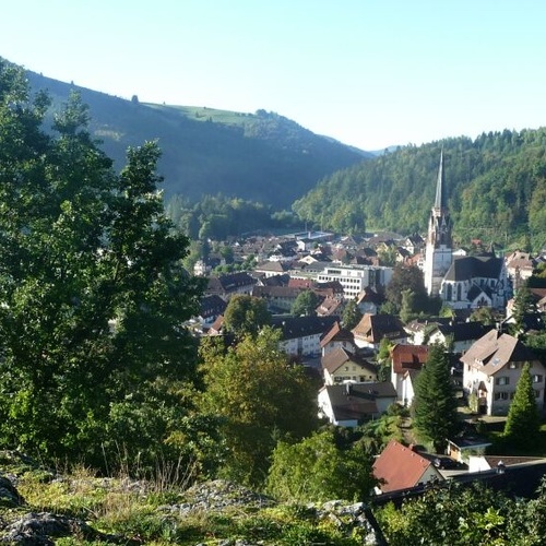 Blick auf Schönau im Schwarzwald - Blick auf Schönau im Schwarzwald -