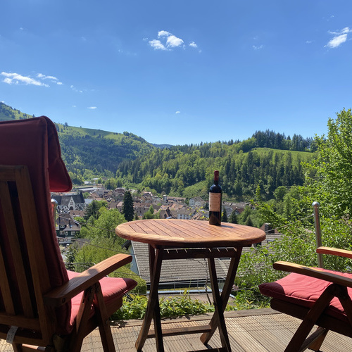 Herrlicher Blick von der Terasse ins Tal - 