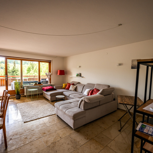 Wohnzimmer mit Sofaecke und Blick auf den Balkon - Wohnzimmer mit Sofaecke und Blick auf den Balkon -