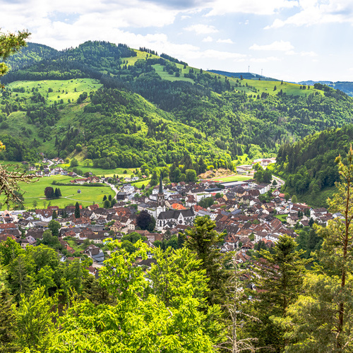Der Hassler Felsen, ein Aussichtpunkt oberhalb von Schönau, befindet sich nur wenige Gehminuten von unserer Ferienwohnung entfernt. - Der Hassler Felsen, ein Aussichtpunkt oberhalb von Schönau, befindet sich nur wenige Gehminuten von unserer Ferienwohnung entfernt. -