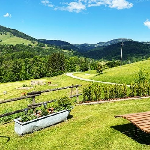 Die Aussicht von der Liegewiese - Die Aussicht von der Liegewiese -